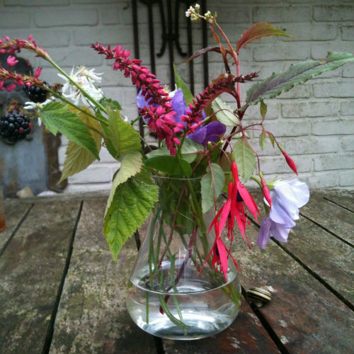 Tuinbloemen in een vaasje