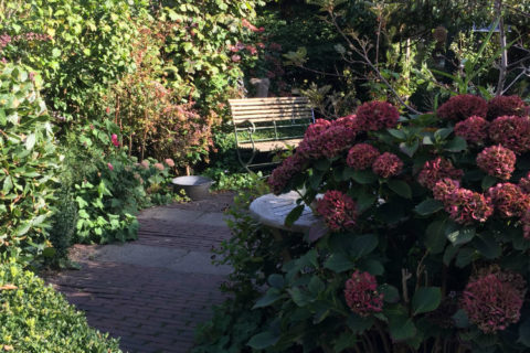 Tuinadvies