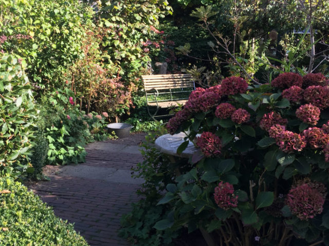 Tuin met tuinpaadje in de herfst