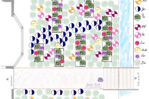 Beplantingsplan